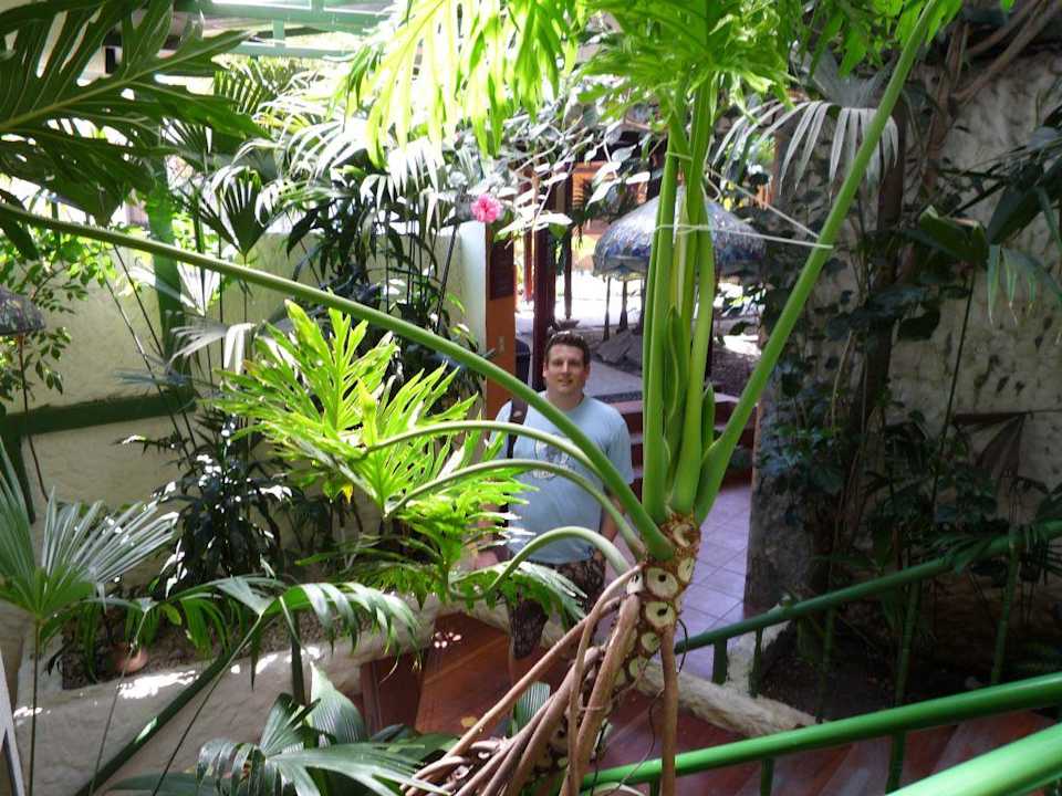 Innenhof Hotel Rincon de San José