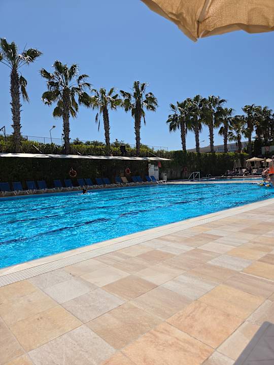 Pool Hane Family Resort