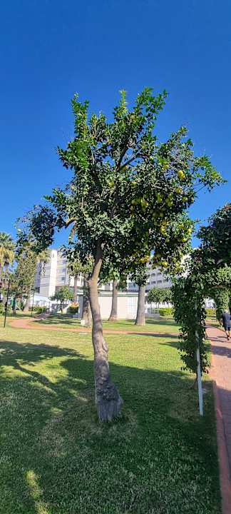 Gartenanlage Seher Kumköy Star Resort & Spa