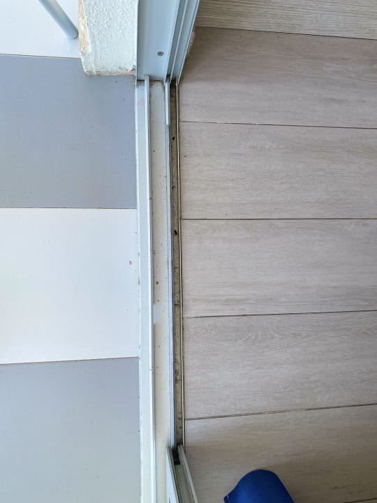 Zimmer Grupotel Alcudia Pins