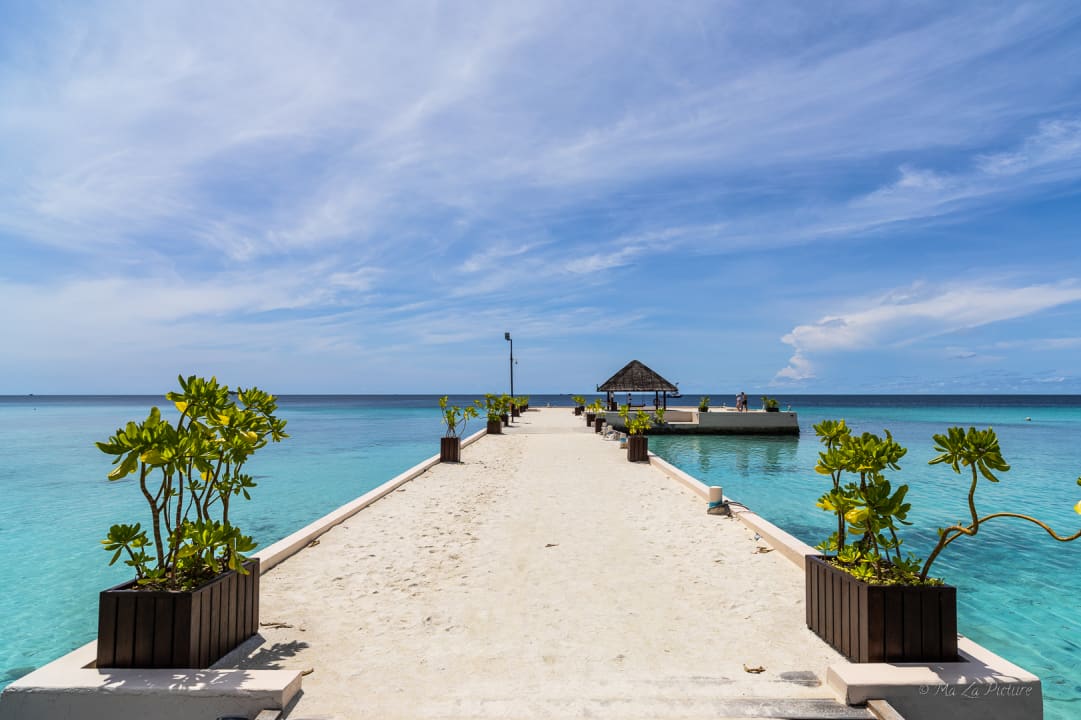 Strand Summer Island Maldives