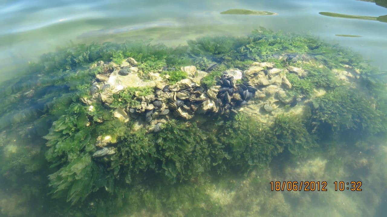 Unter Wasser  Hotel Palos