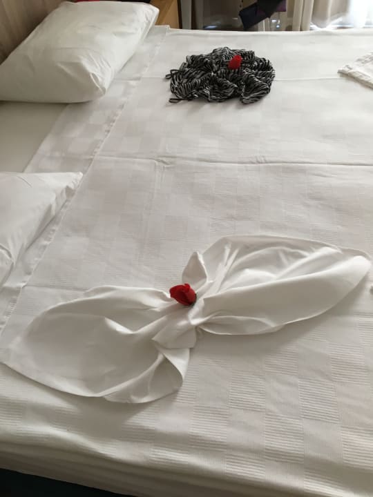 Zimmer Dream World Resort & Spa
