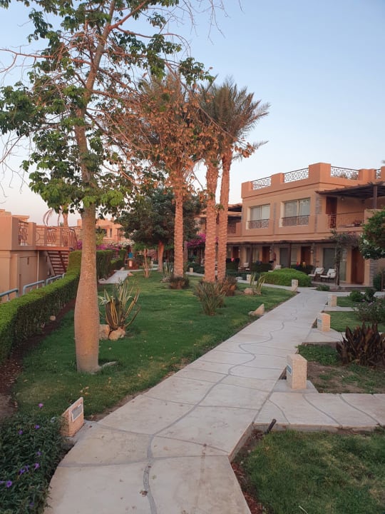 Außenansicht Shams Prestige Abu Soma-Adults Only