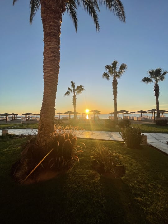 Gartenanlage Shams Prestige Abu Soma-Adults Only