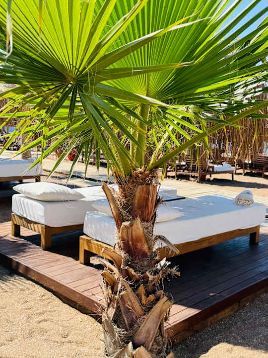 Strand Rubi Platinum Sign