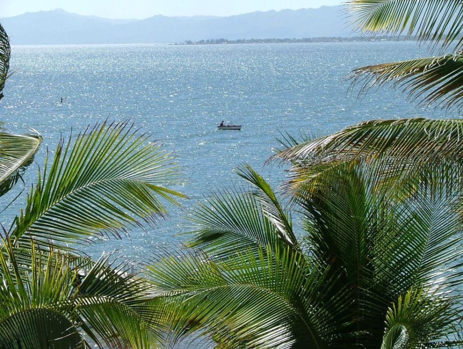 Quinta Palomar 2 Hotel Quinta Palomar