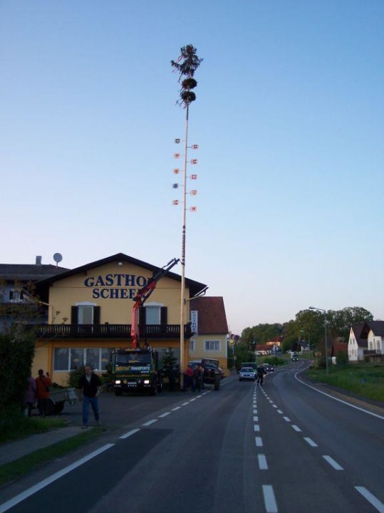 Maibaum aufstellen Hotel Gasthof Scheer