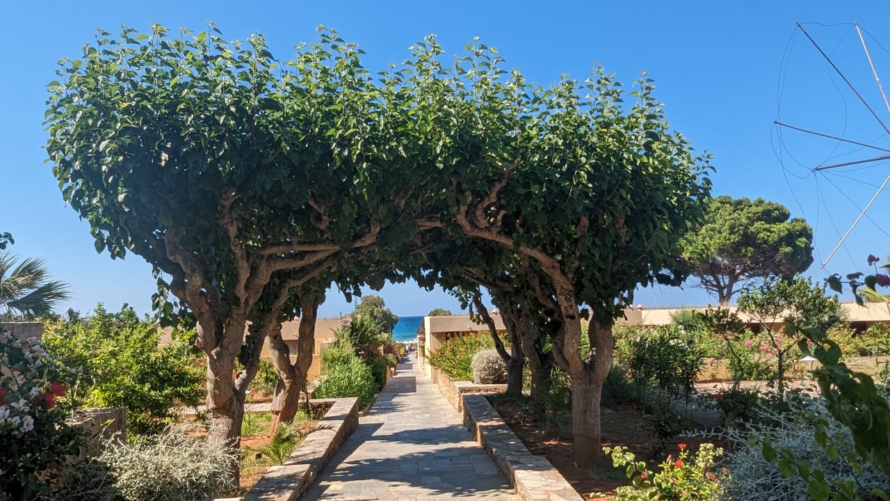 Gartenanlage Kernos Beach Hotel & Bungalows