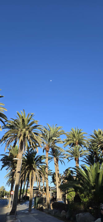 Gartenanlage Hotel Riu Palace Oasis