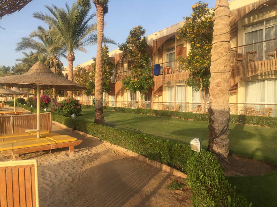 Gartenanlage Desert Rose