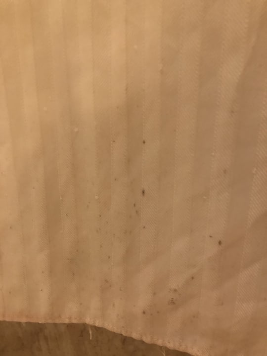 Zimmer Hilton Marsa Alam Nubian Resort