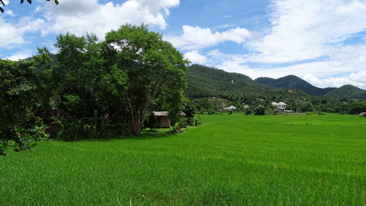 Außenansicht Hotel The Countryside Pai