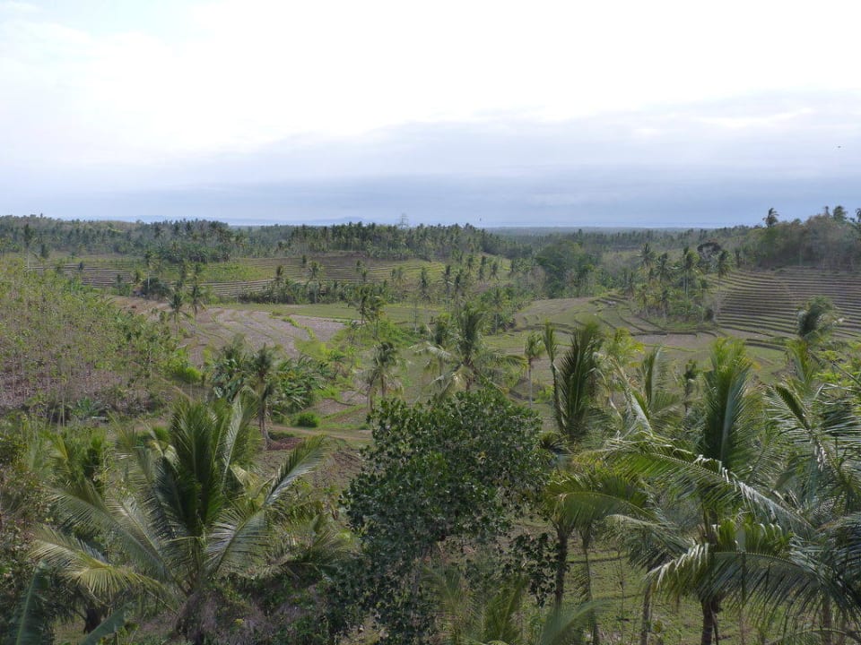 Blick vom Balkon Hotel Taman Wana Villas & Spa