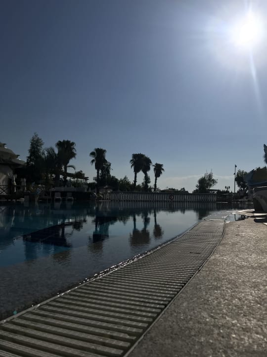 Pool Hotel Delphin Imperial