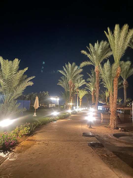 Gartenanlage Palm Royale Resort - Soma Bay