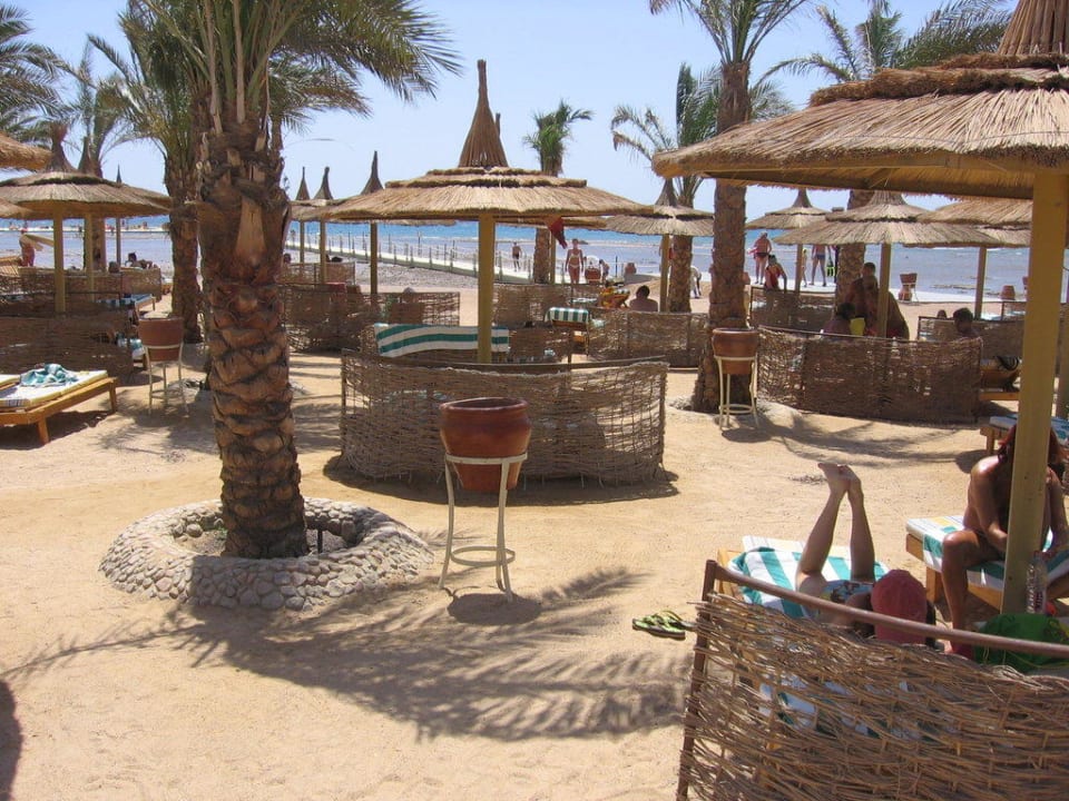 Liegen mit Sichtschutz Pickalbatros Palace Resort