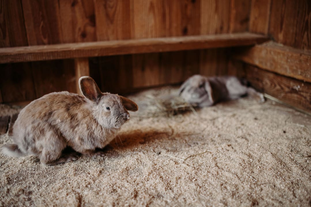 Sport & Freizeit Hotel Ferienparadies Lerch