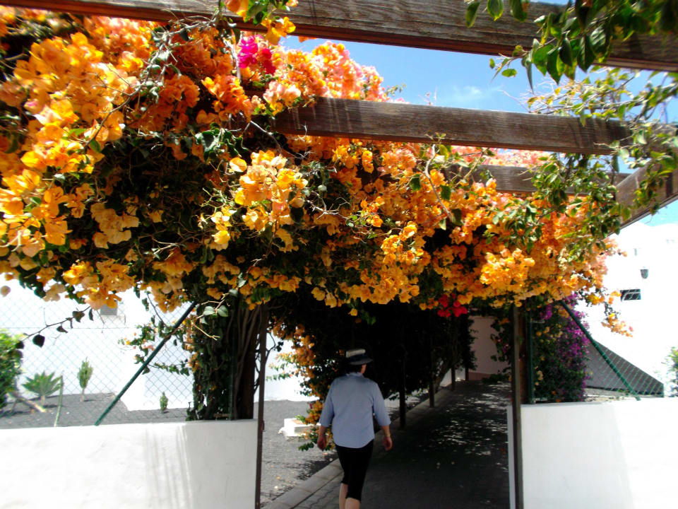 Übergang vom alten zum neuen Teil Hotel Floresta