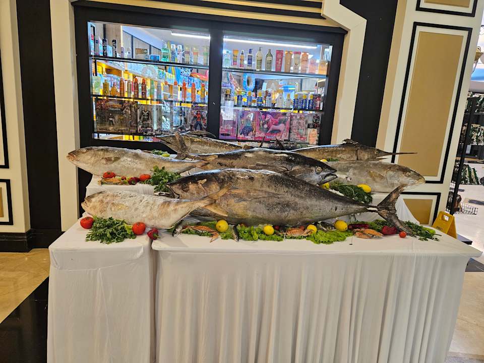 Gastro Adalya Elite Lara