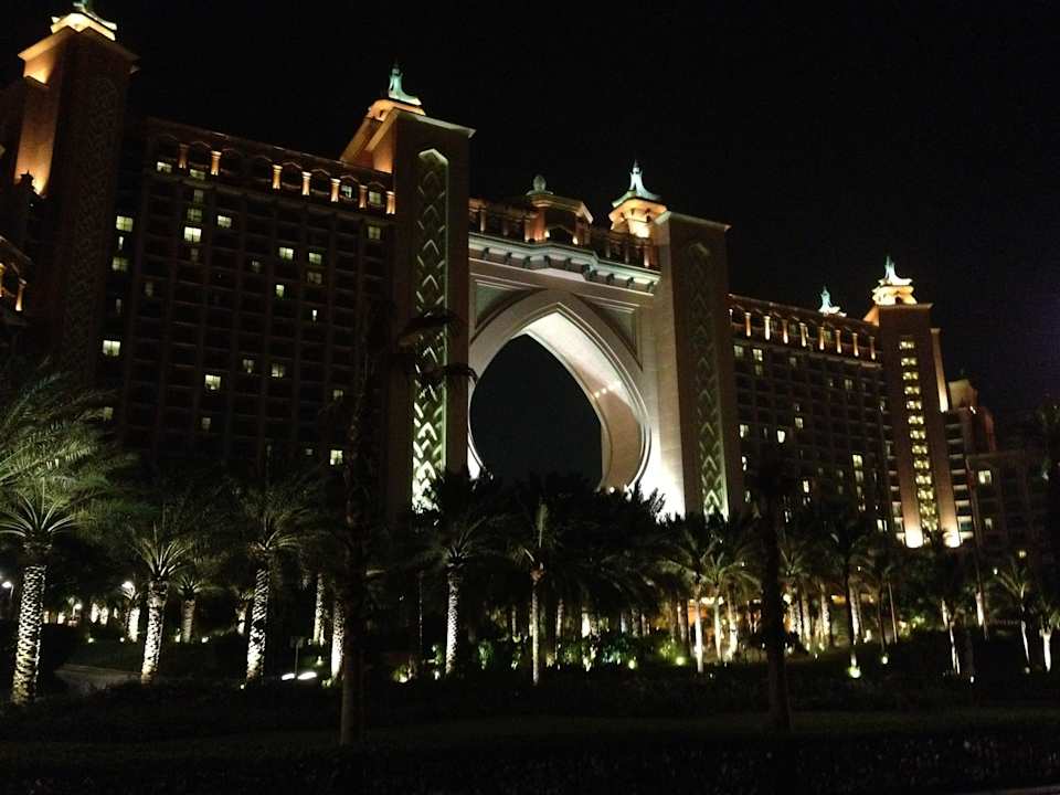 By Night Atlantis, The Palm