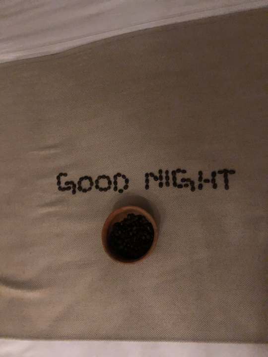 Zimmer Lemala Wildwaters Lodge