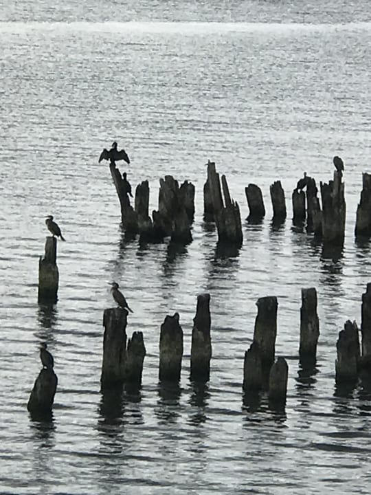 Strand Hotel Wald und See