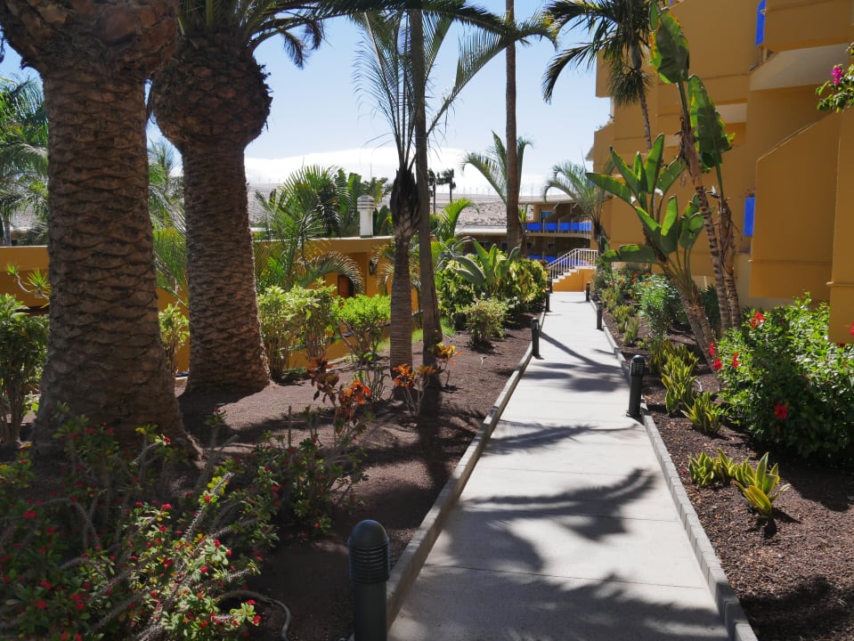 Gartenanlage Club Hotel Drago Park