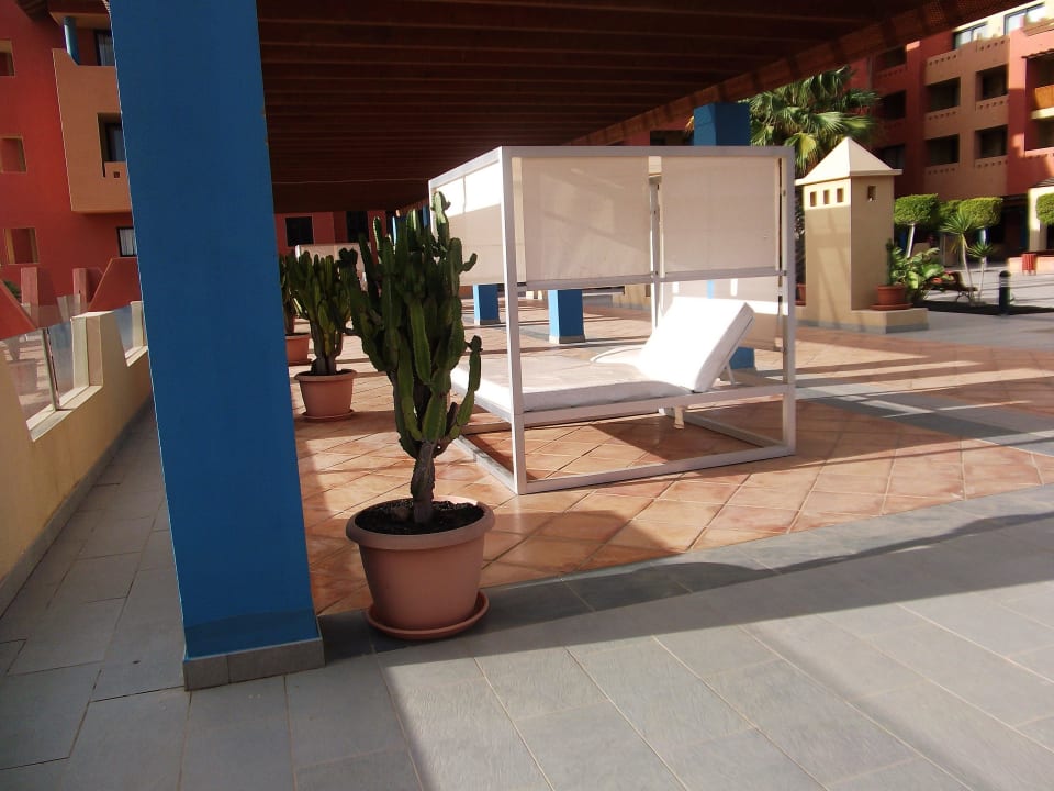 Ruhepole auf der Terrasse H10 Tindaya