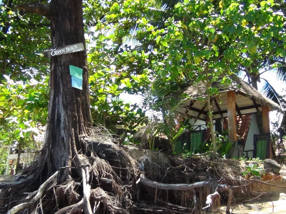 Das müssen noch Spuren aus 2004 sein Khaolak Laguna Resort