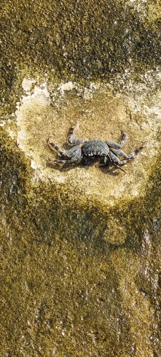 Sonstiges Komandoo Island Resort & Spa - Adults only