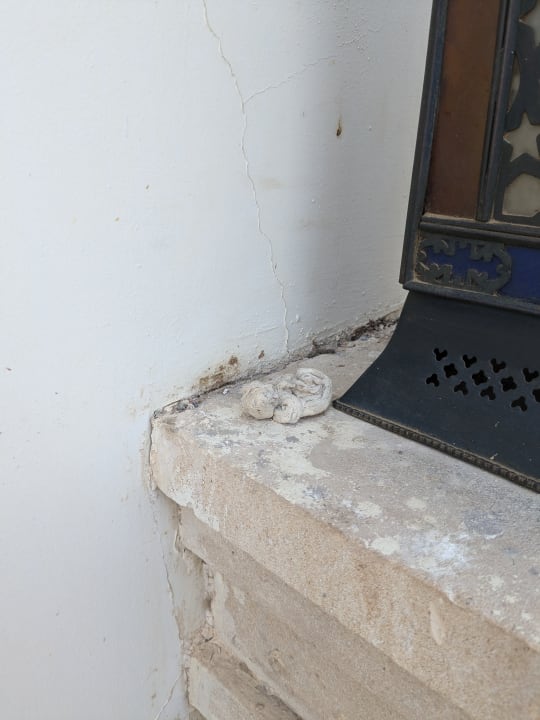 Gastro Makadi Spa - Adults only