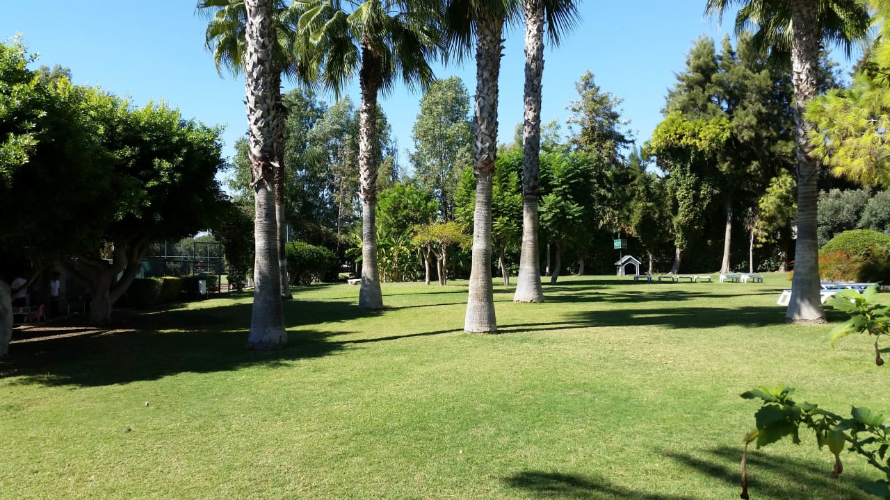 Gartenanlage Hotel Terrace Beach Resort