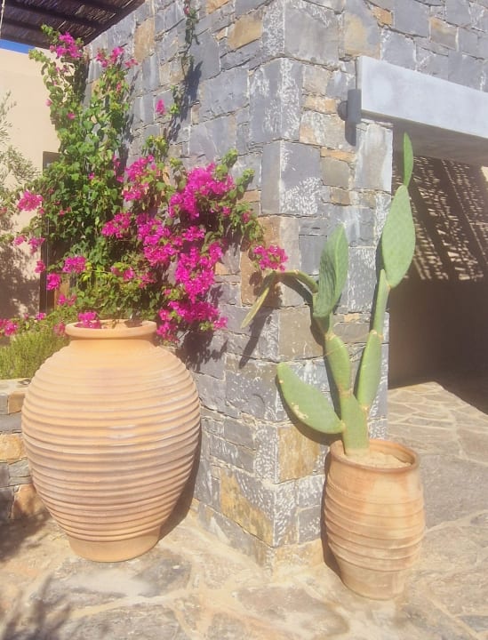 Gartenanlage Paralos Irini Mare