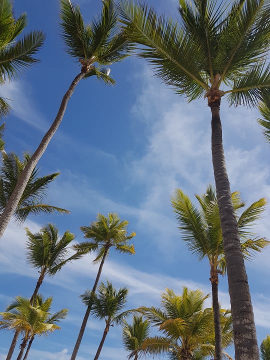 Strand Hotel Riu Palace Bavaro