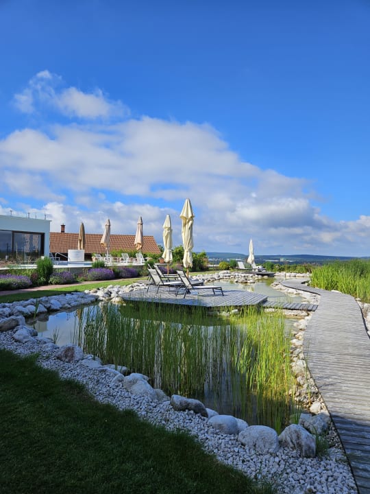 Pool Der Birkenhof - Spa & Genuss Resort
