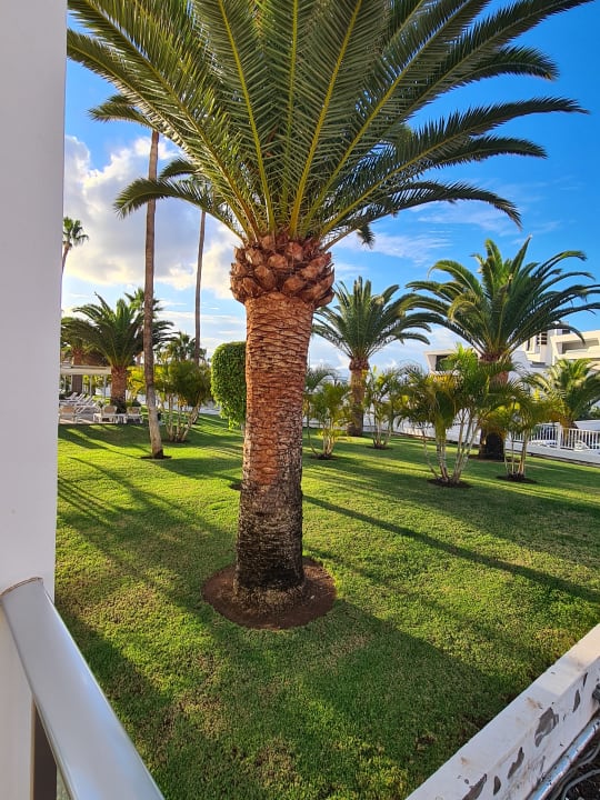 Ausblick Hotel Riu Arecas - Adults only