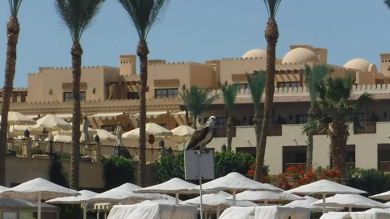 Ausblick Makadi Spa - Adults only