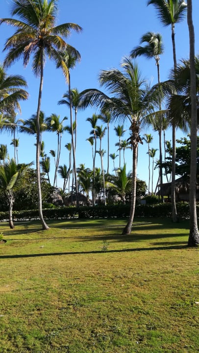 Garten Grand Palladium Select Bávaro Resort & Spa