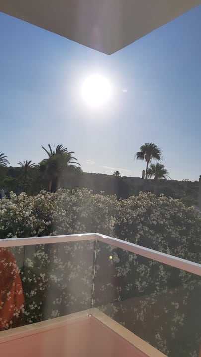 Ausblick Protur Vista Badia Aparthotel