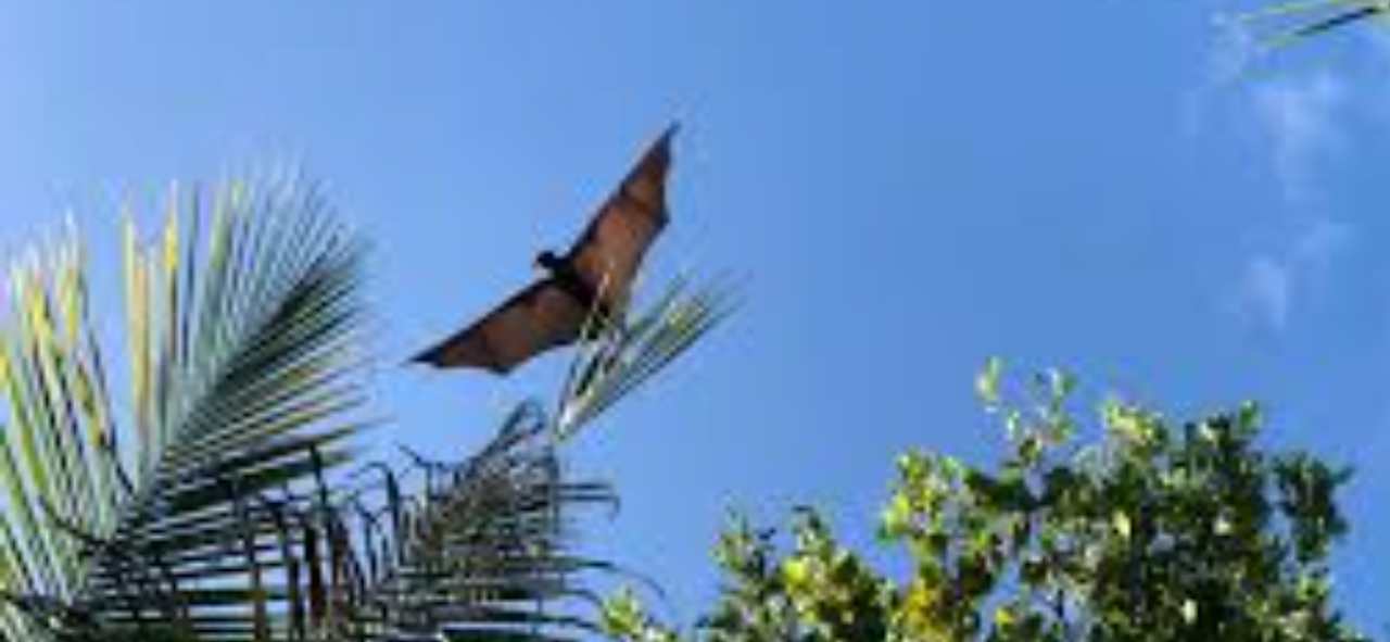 Ausblick Reethi Faru Resort