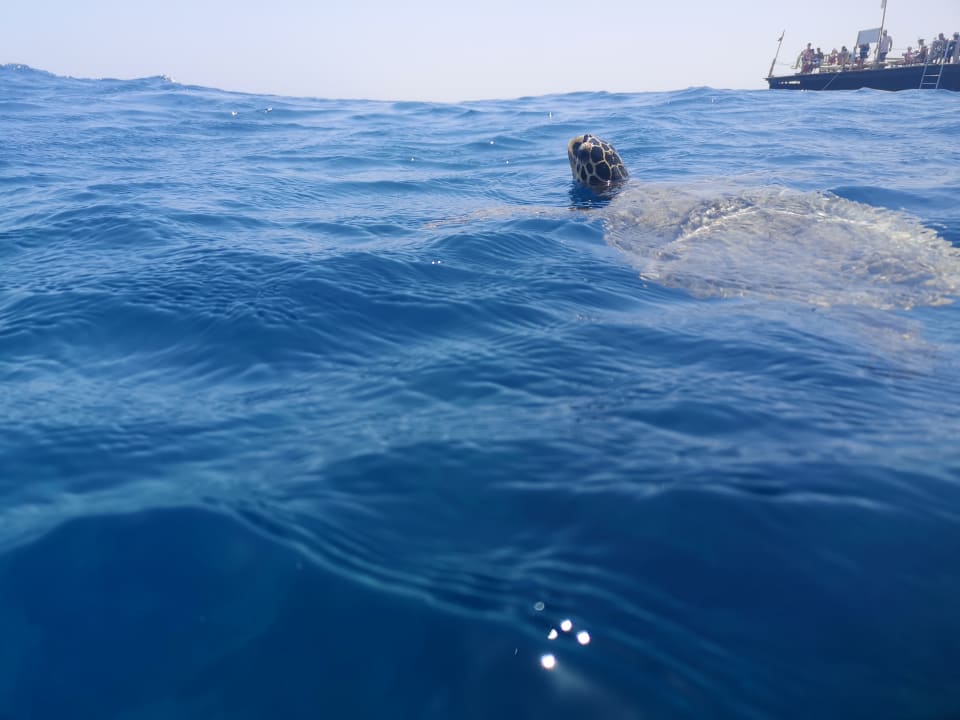 Strand Casa Mare Resort