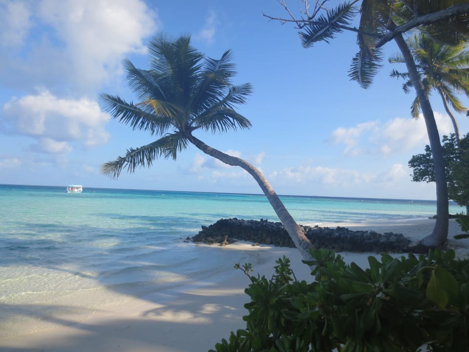 Ausblick ananea Diamonds Athuruga