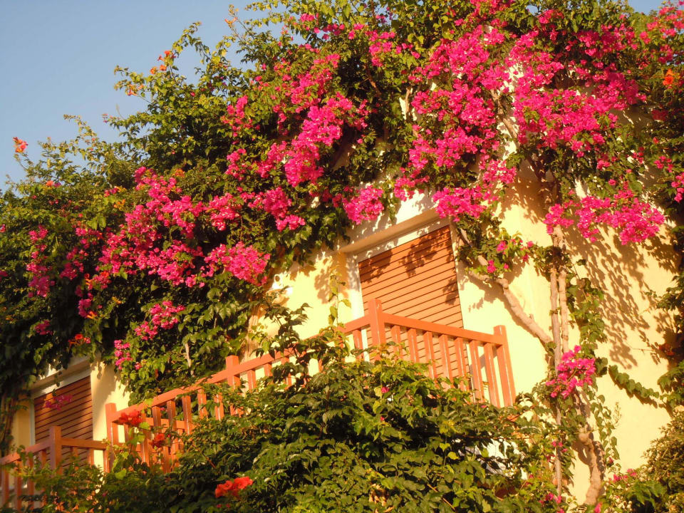 Hotel Anissa Beach & Village