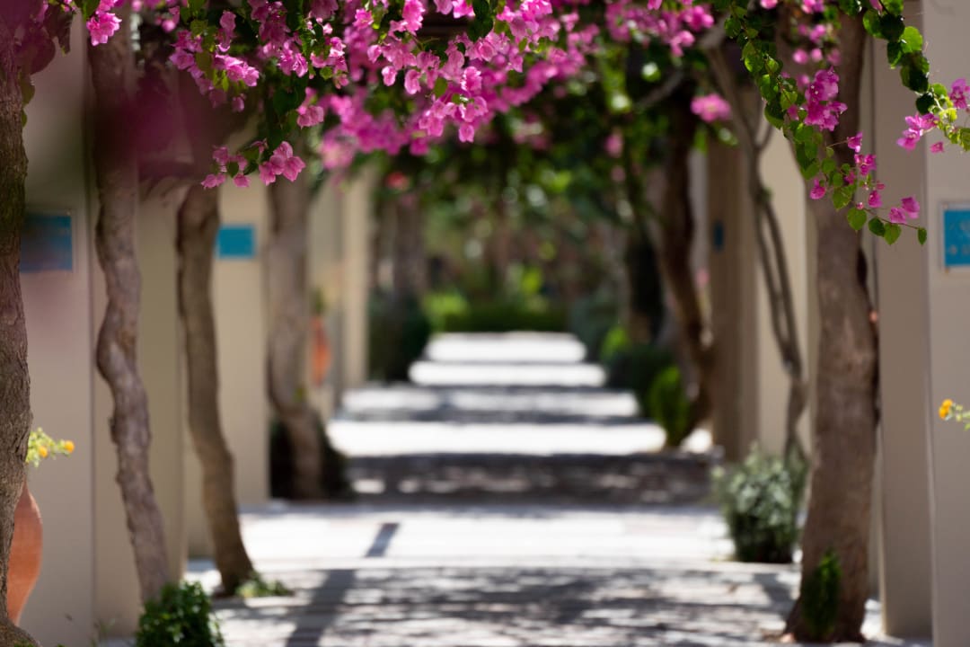 Gartenanlage Astir Odysseus Kos Resort & Spa
