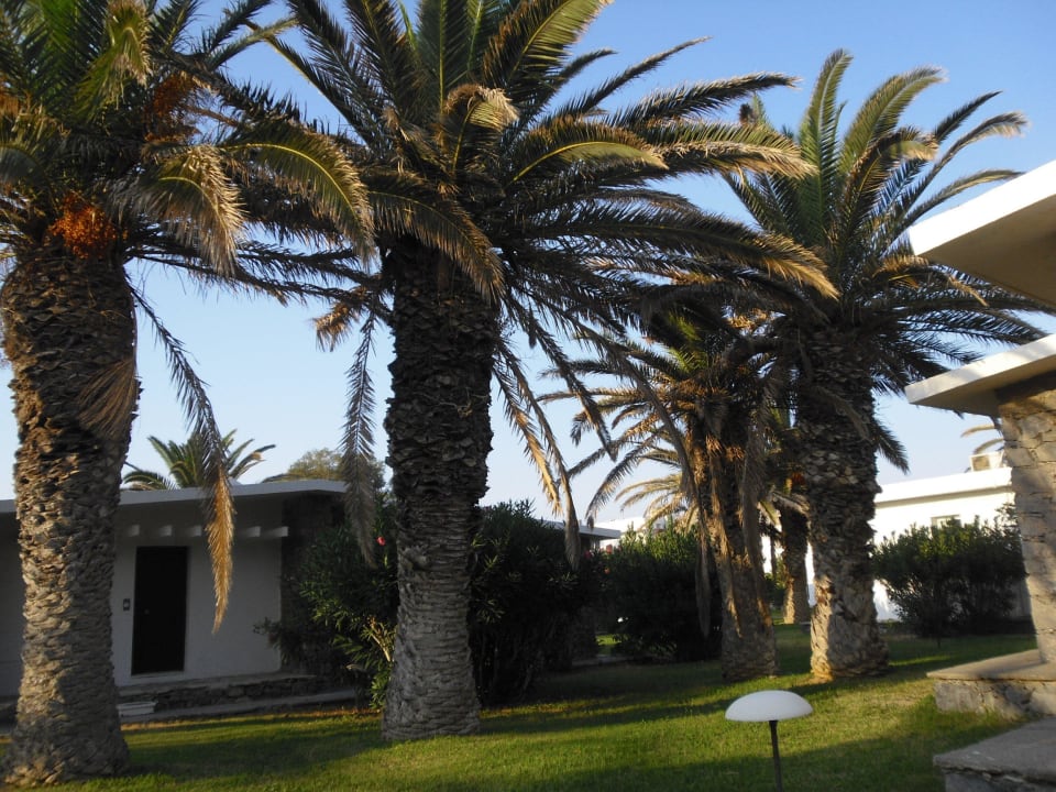 Garten Civitel Creta Beach