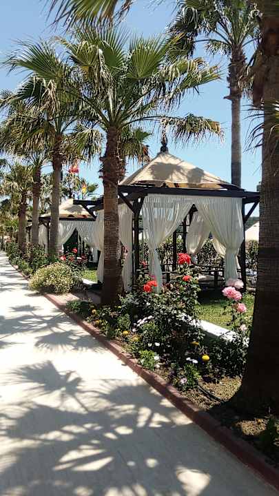 Gartenanlage Saphir Resort & Spa