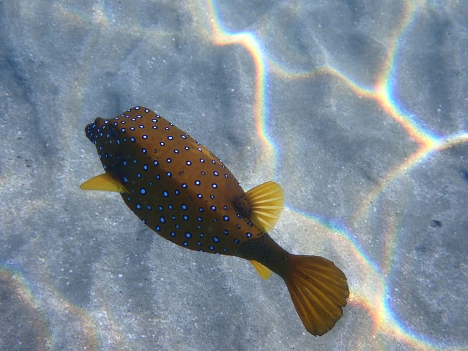 Sport & Freizeit Shams Alam Beach Resort