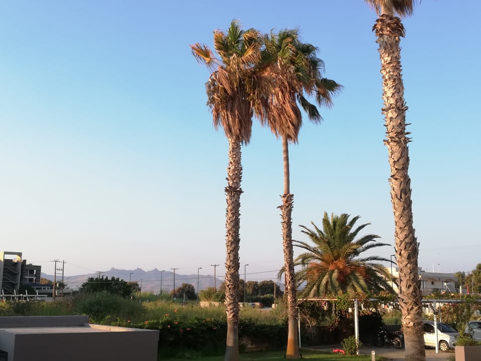 Ausblick Cosmopolitan Kos