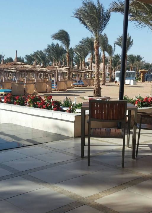 Saubere anlage Beach Albatros Resort
